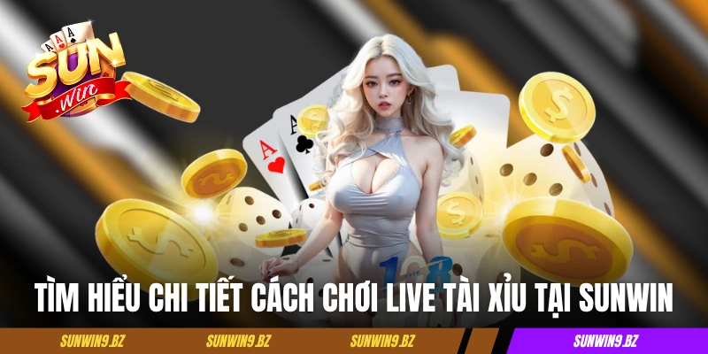 Tìm hiểu chi tiết cách chơi live tài xỉu tại Sunwin
