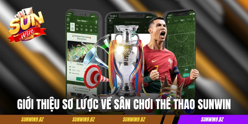 Giới thiệu sơ lược về sân chơi cá cược thể thao Sunwin